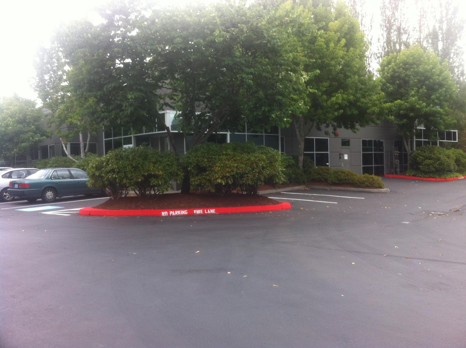 Woodinville Montessori parking lot and trees